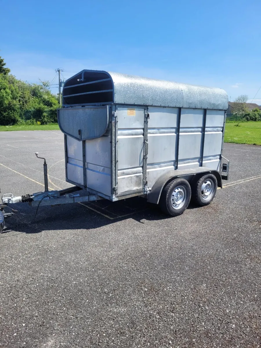 8ftx4'6 factory made cow trailer - Image 2
