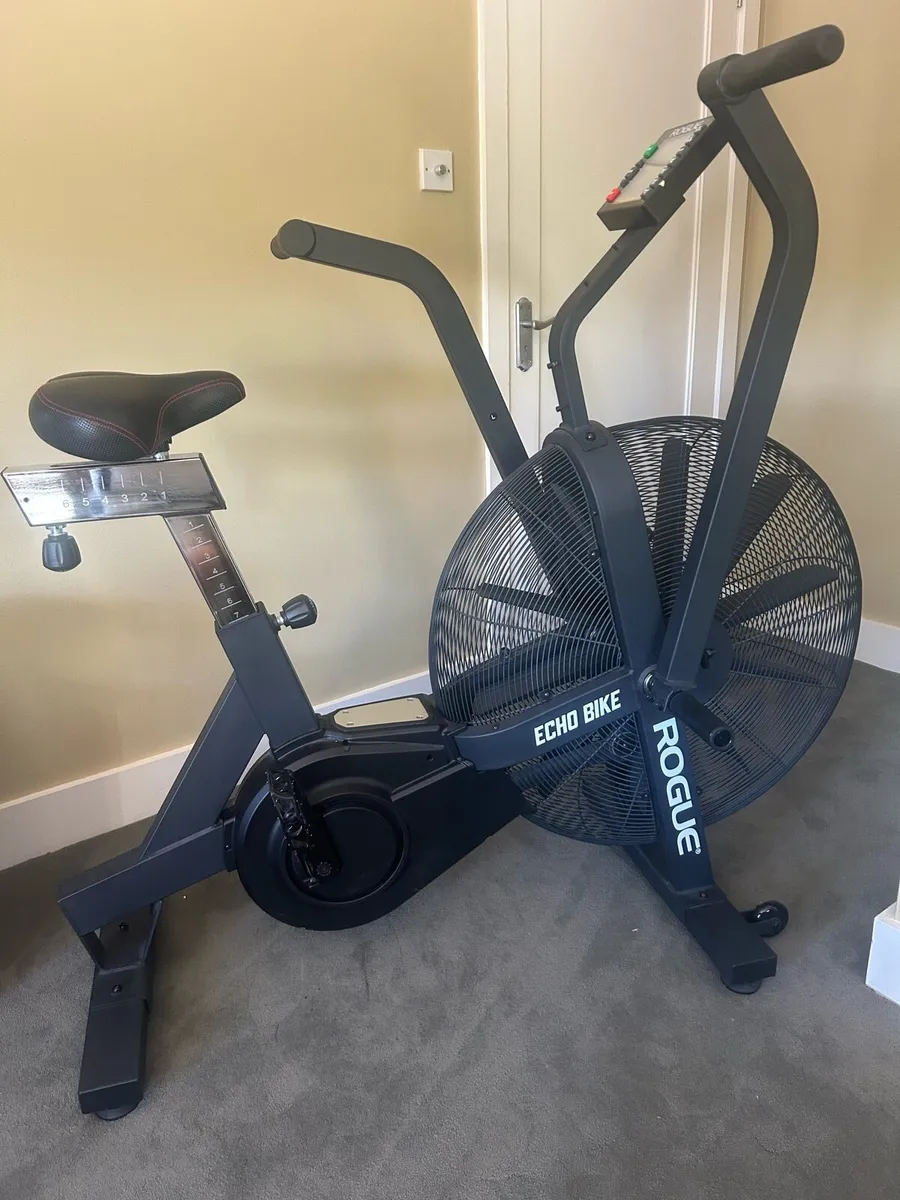 Rogue Echo Air Bike