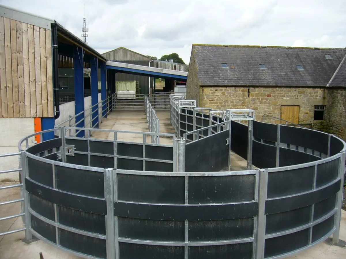 STOCK BOARD AT FRS FENCING TINAHELY - Image 1