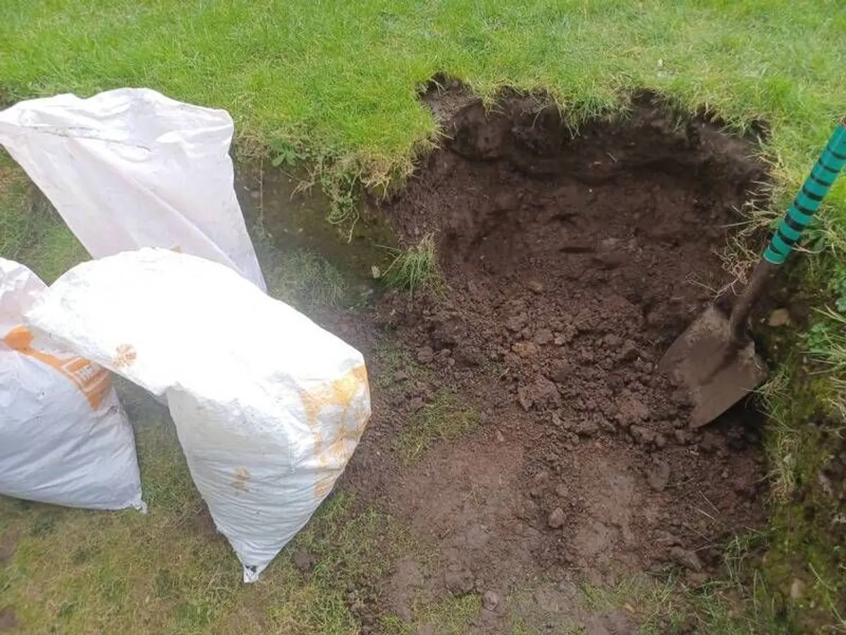 Top Soil - Image 2