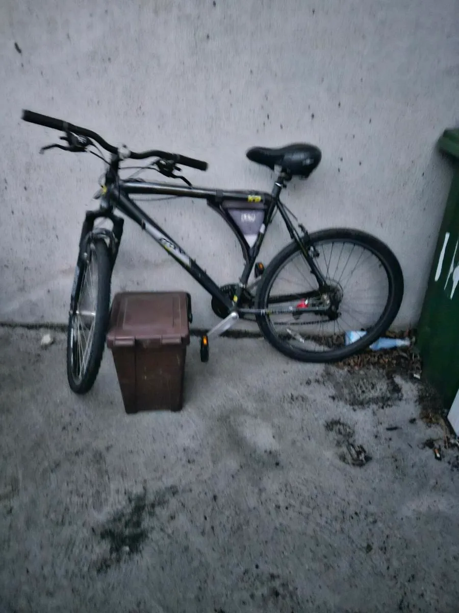 Bike - Image 1