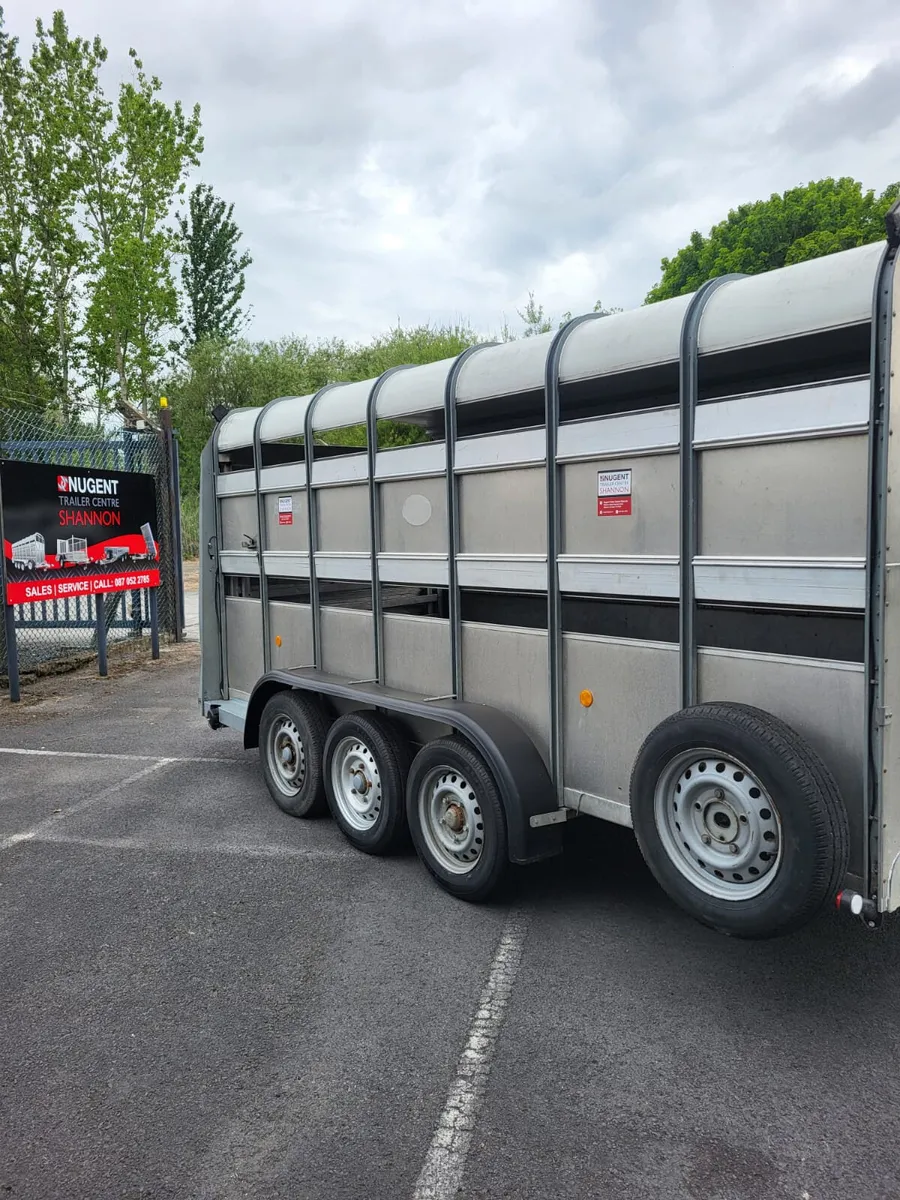 Ifor Williams 14x6 Livestock - Image 3