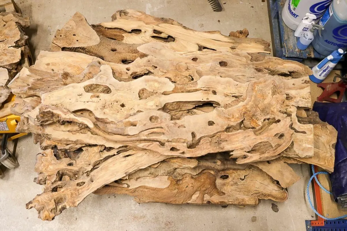 Olive Russian Burl, Turkish Olive & Walnut slab - Image 2