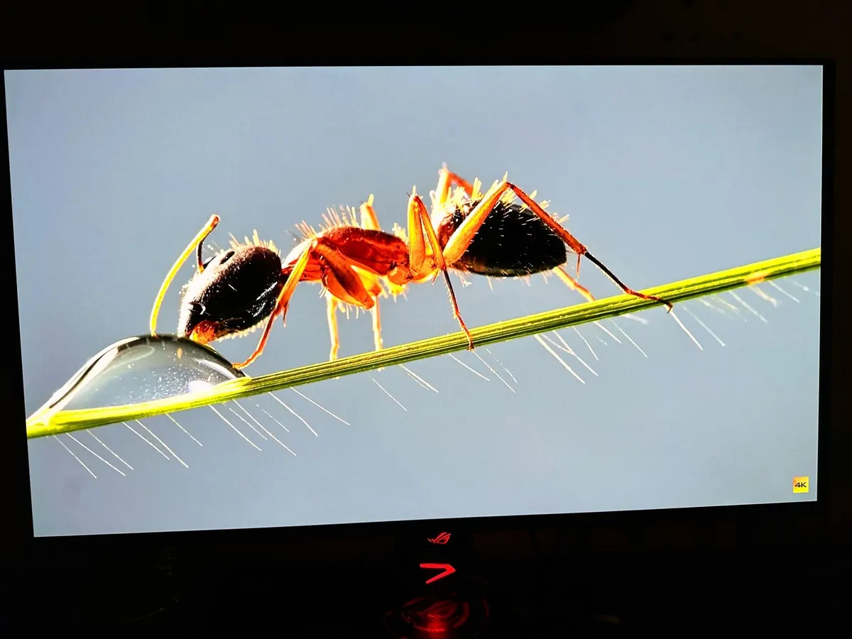 ROG Swift PG32UCDM 32” 4K QD-OLED 240hz Monitor - Image 3