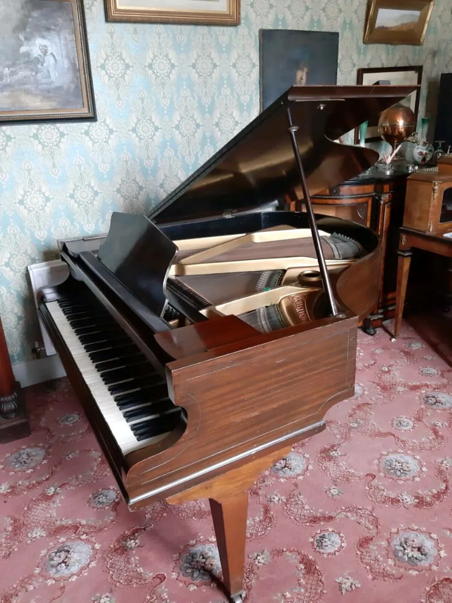 Baby Grand Piano