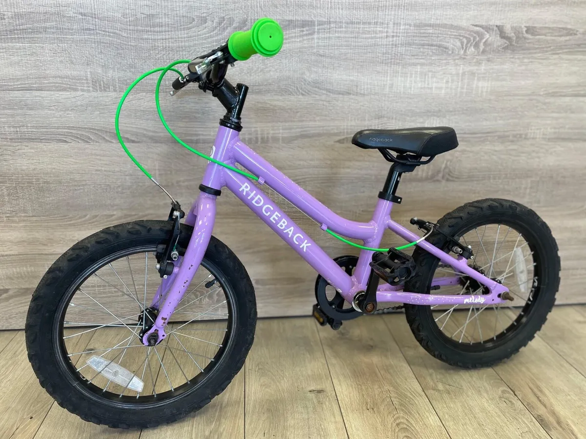 Ridgeback melody (like new) - Image 1