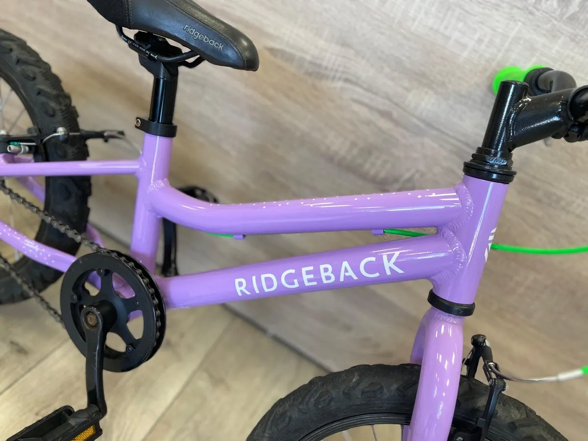 Ridgeback melody (like new) - Image 4