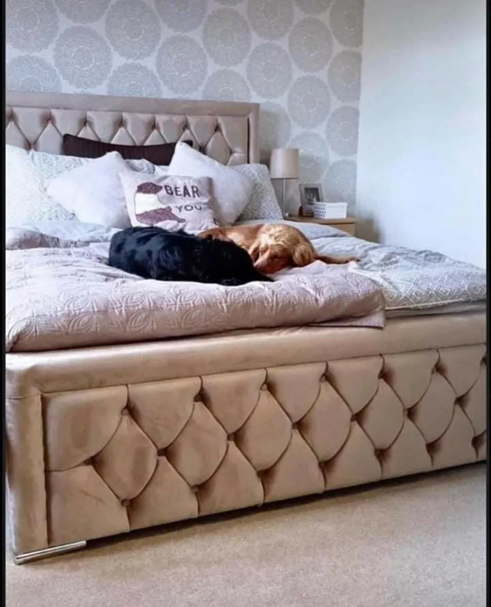 Brand New Beds for Sale!

With or Without Mattress - Image 2