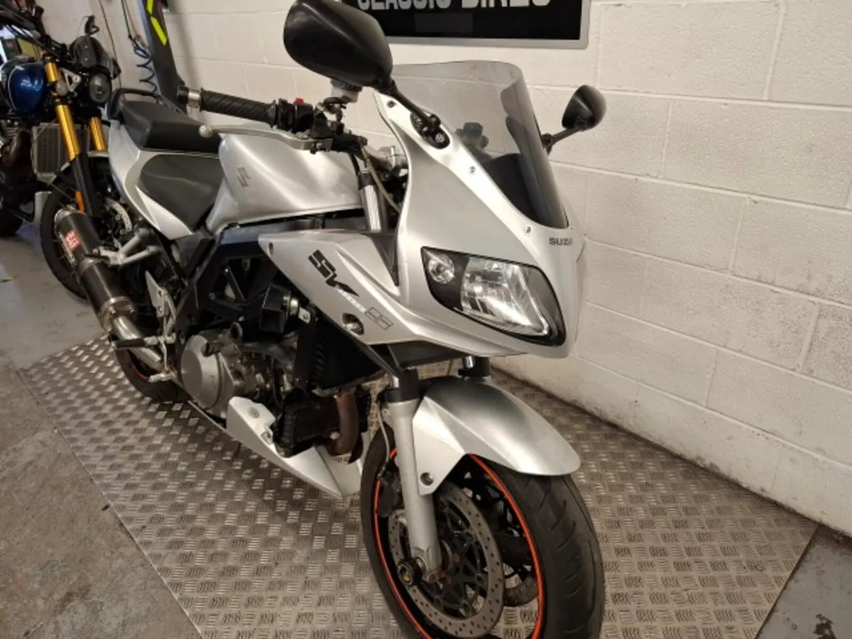 Suzuki SV1000 2006 - Image 2