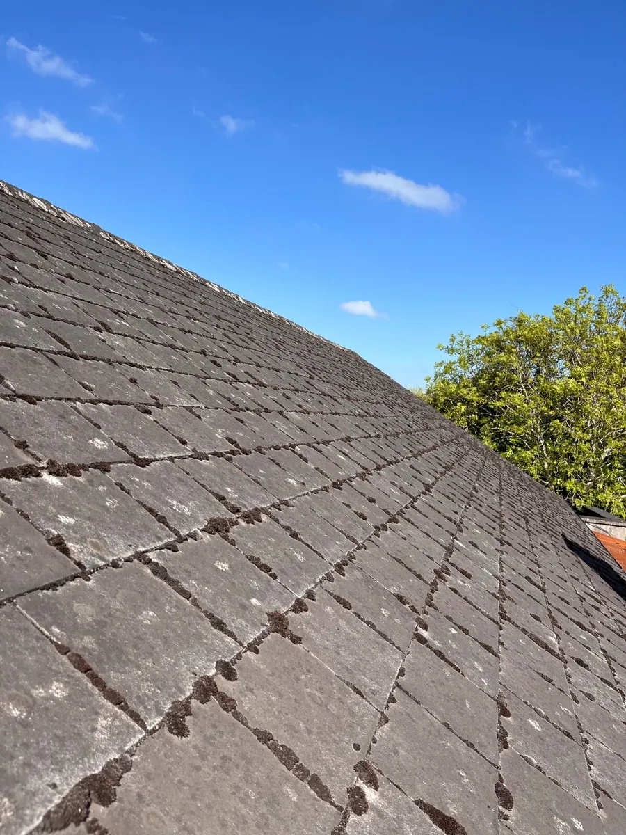 Roof Slates - Image 1