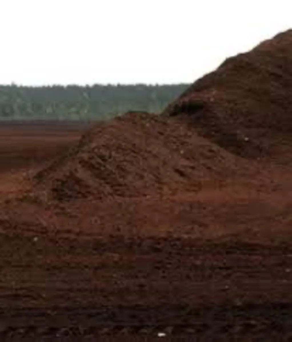 Top quality brown bedding peat moss for sale - Image 2
