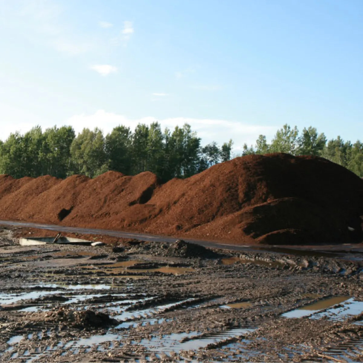 Top quality brown bedding peat moss for sale - Image 3
