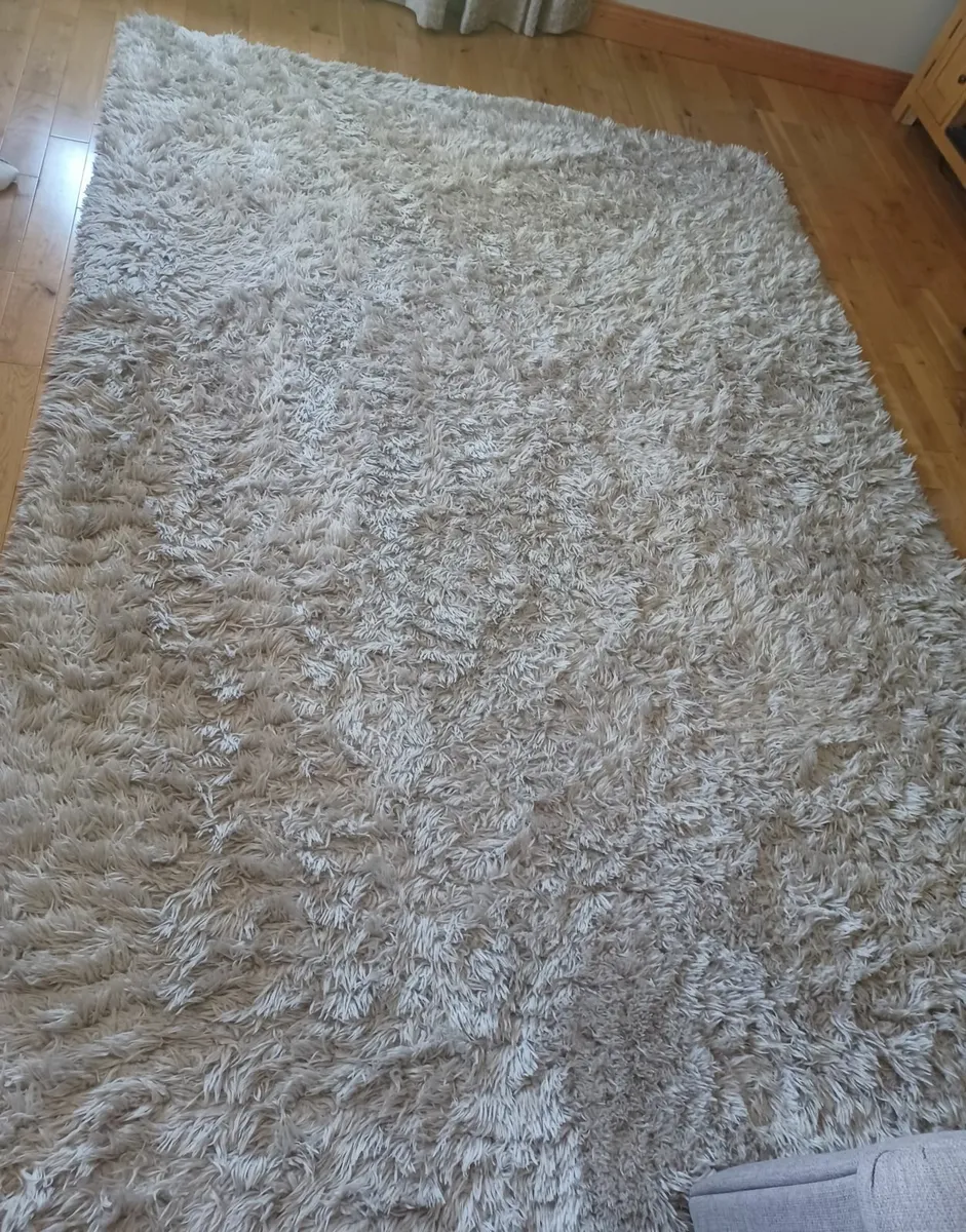Rug - Image 1