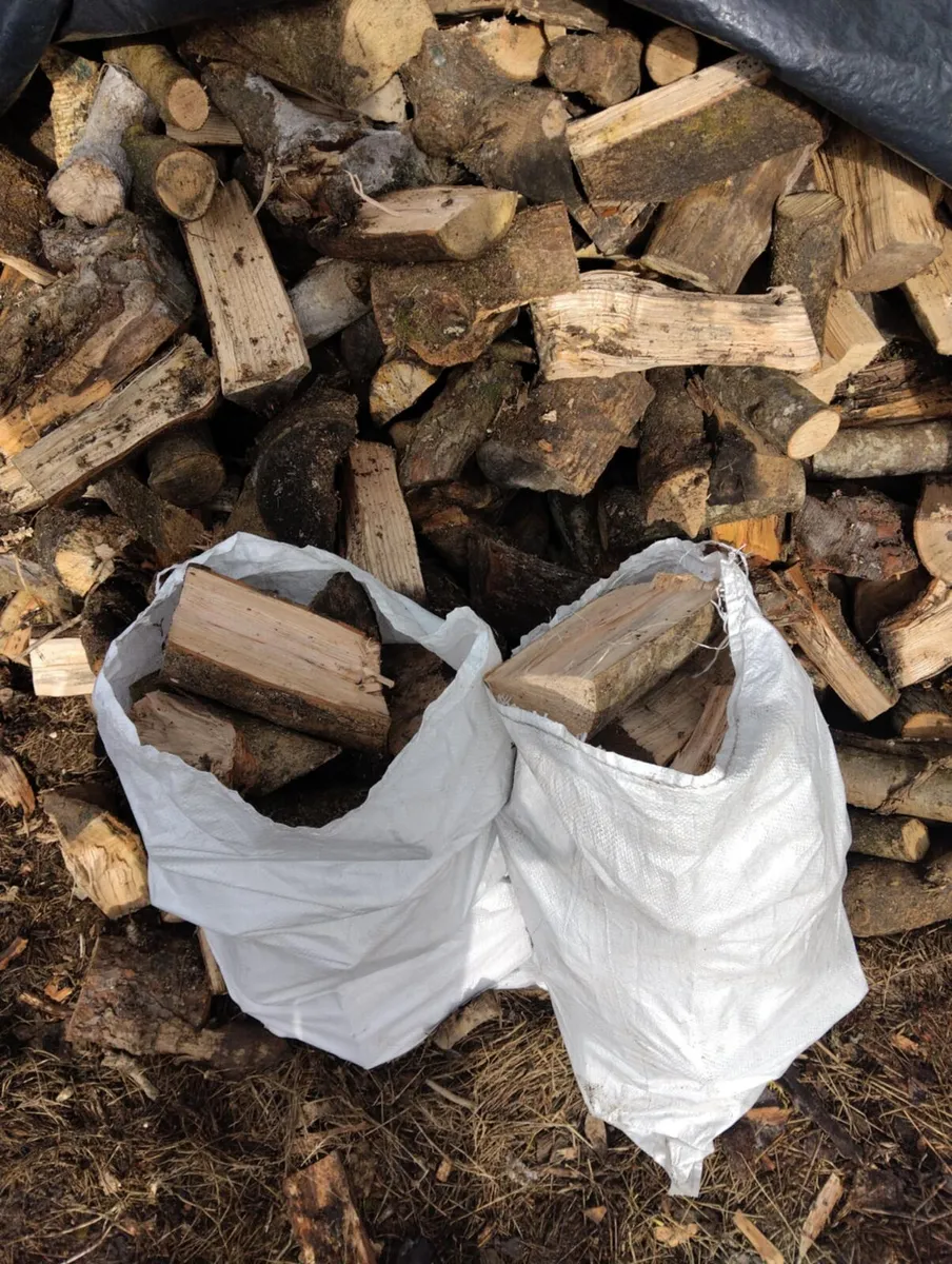 Firewood - Image 2