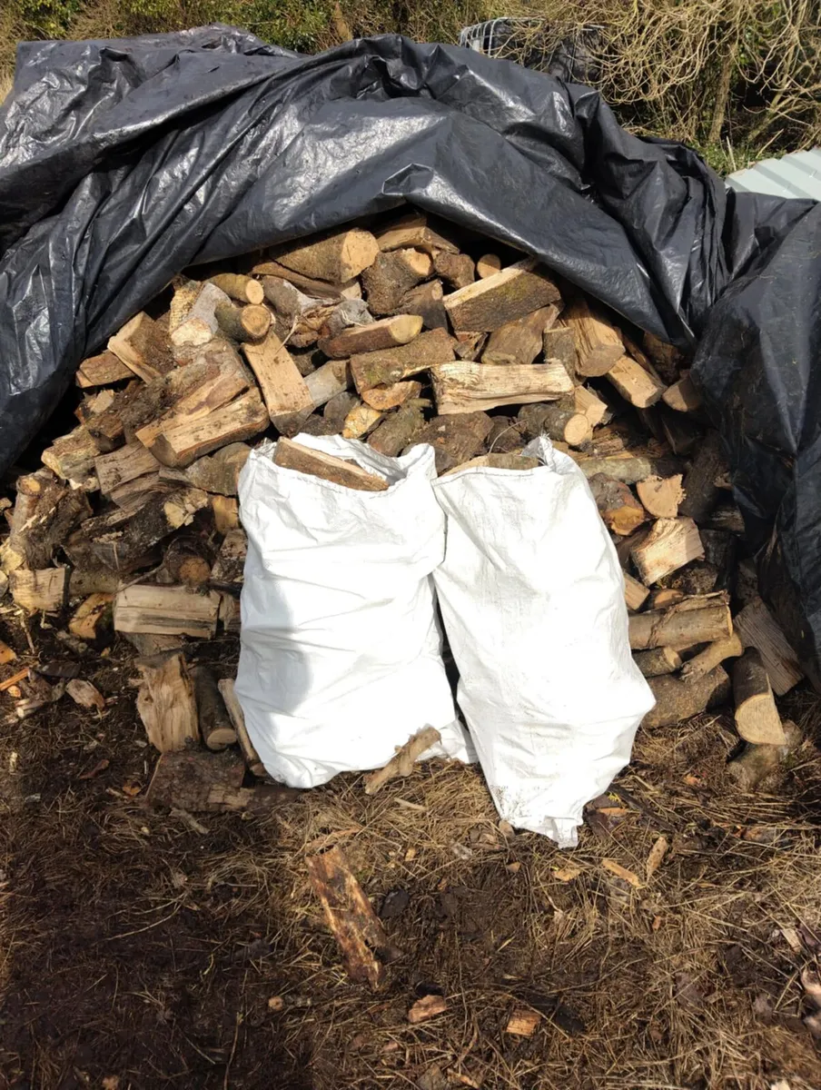 Firewood - Image 3