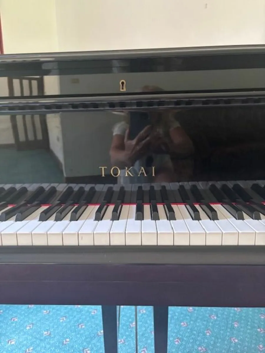 Tokai Grand Piano - Image 2