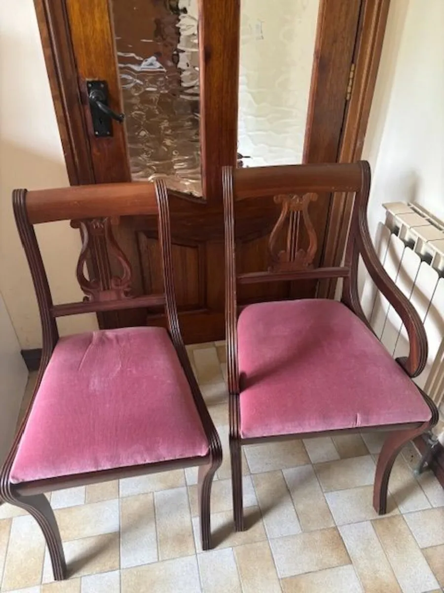 Dining Chairs