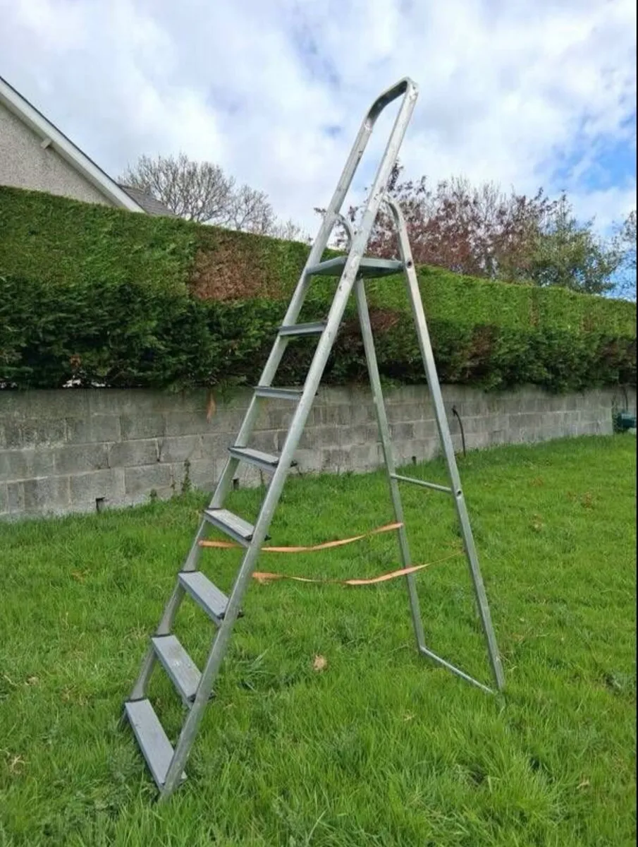 Ladder - Image 1