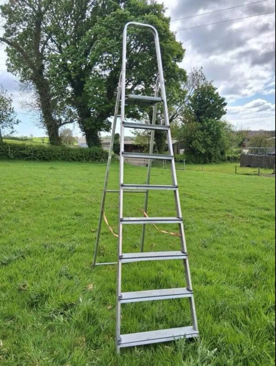 Ladder - Image 2