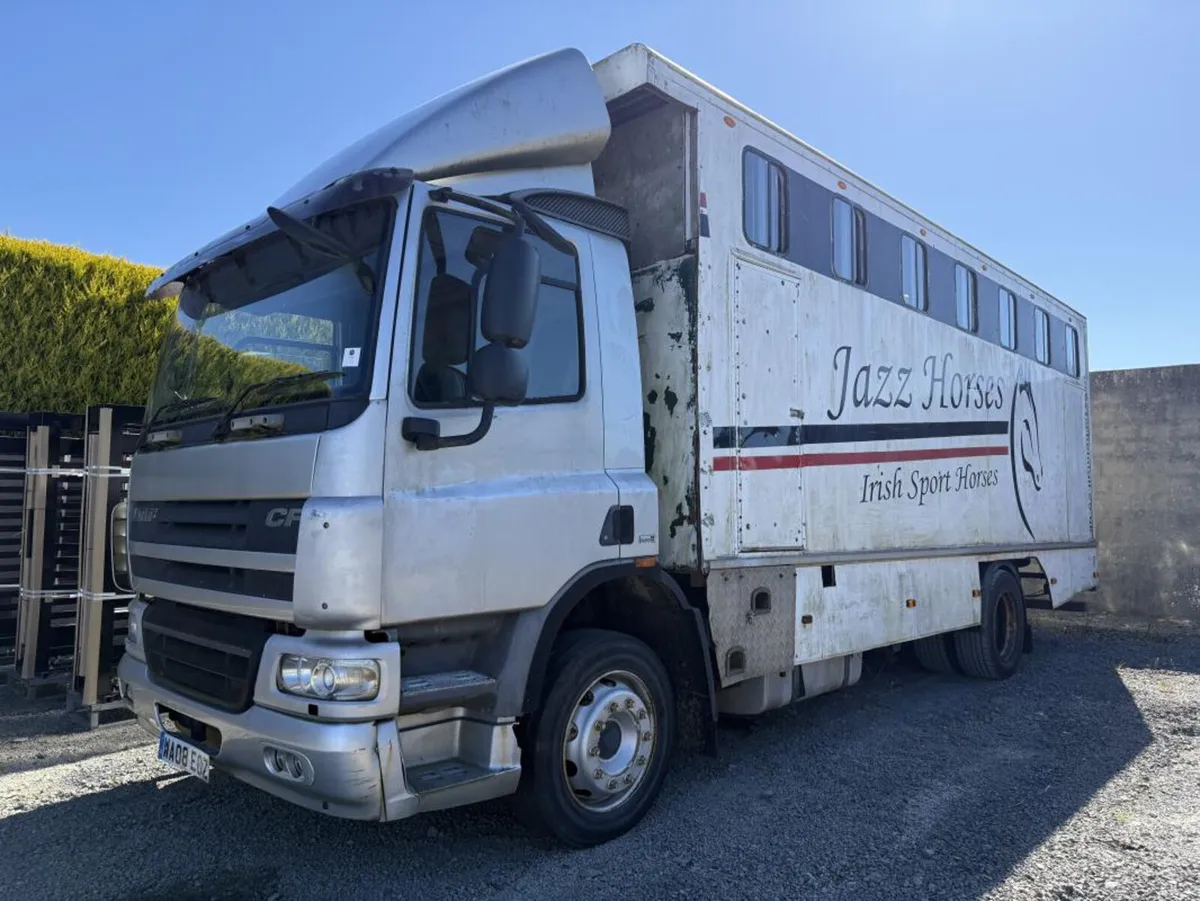 2008 DAF CF Horse Lorry **Online Auction** - Image 3