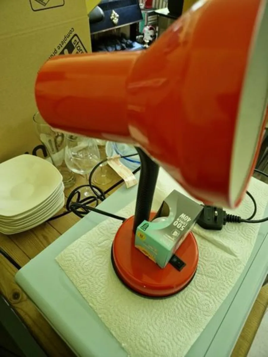 Desk Lamps / Table Lamps - Image 4
