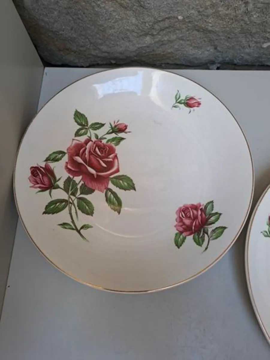 J and G Meakin rose Plates - Image 2