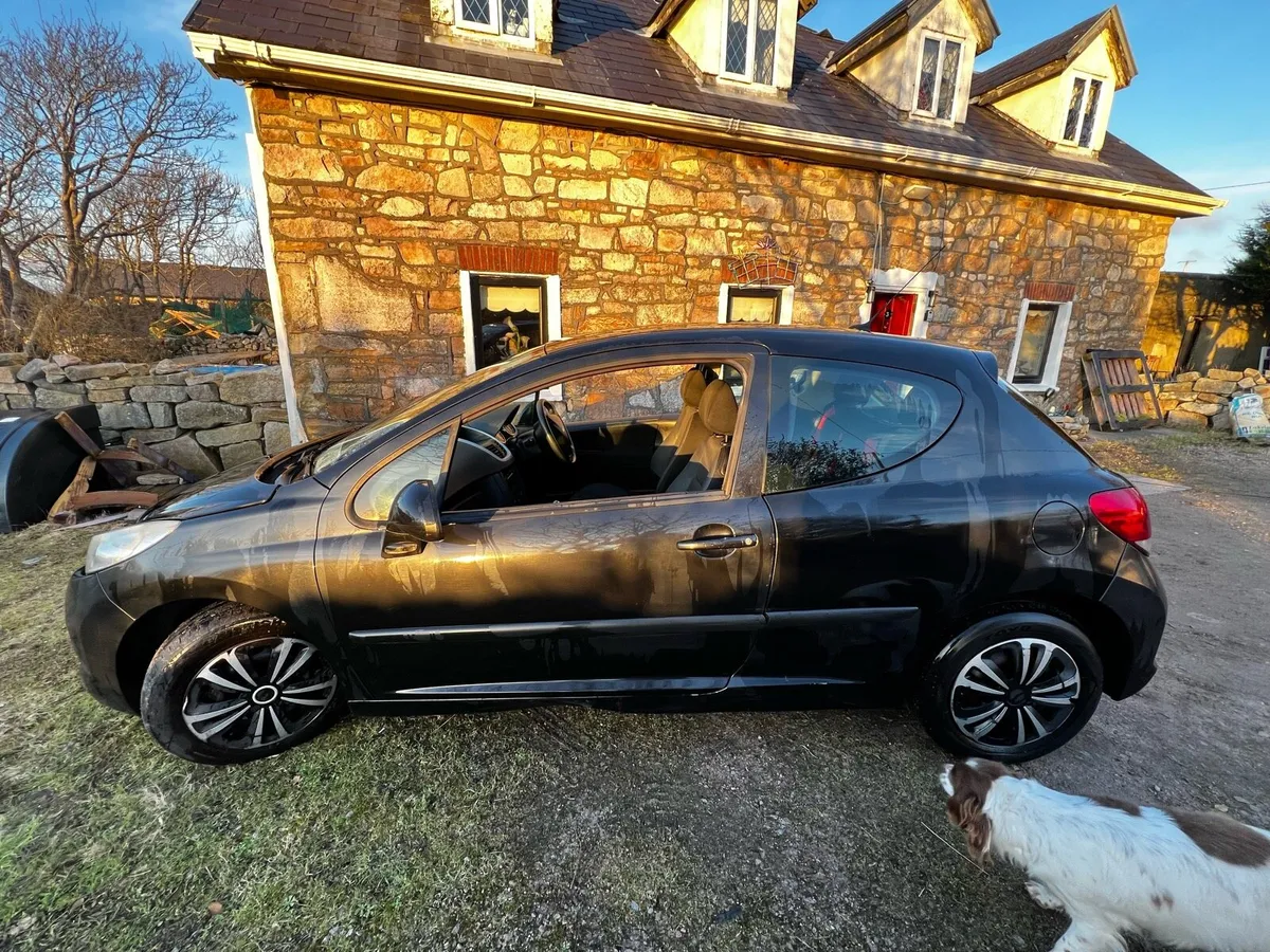 Peugeot 207 - Image 2