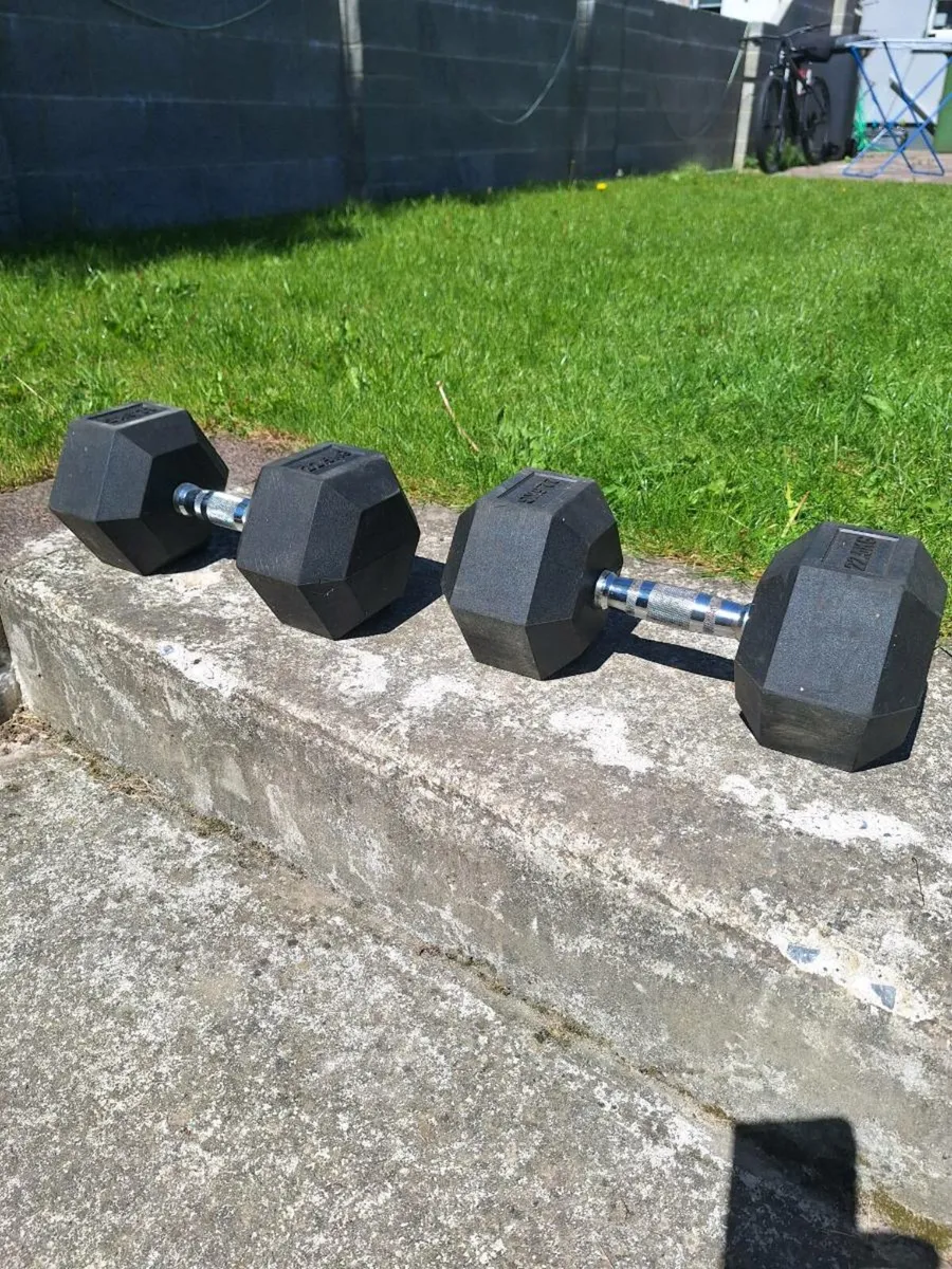 22.5 kg hex dumbells - Image 1