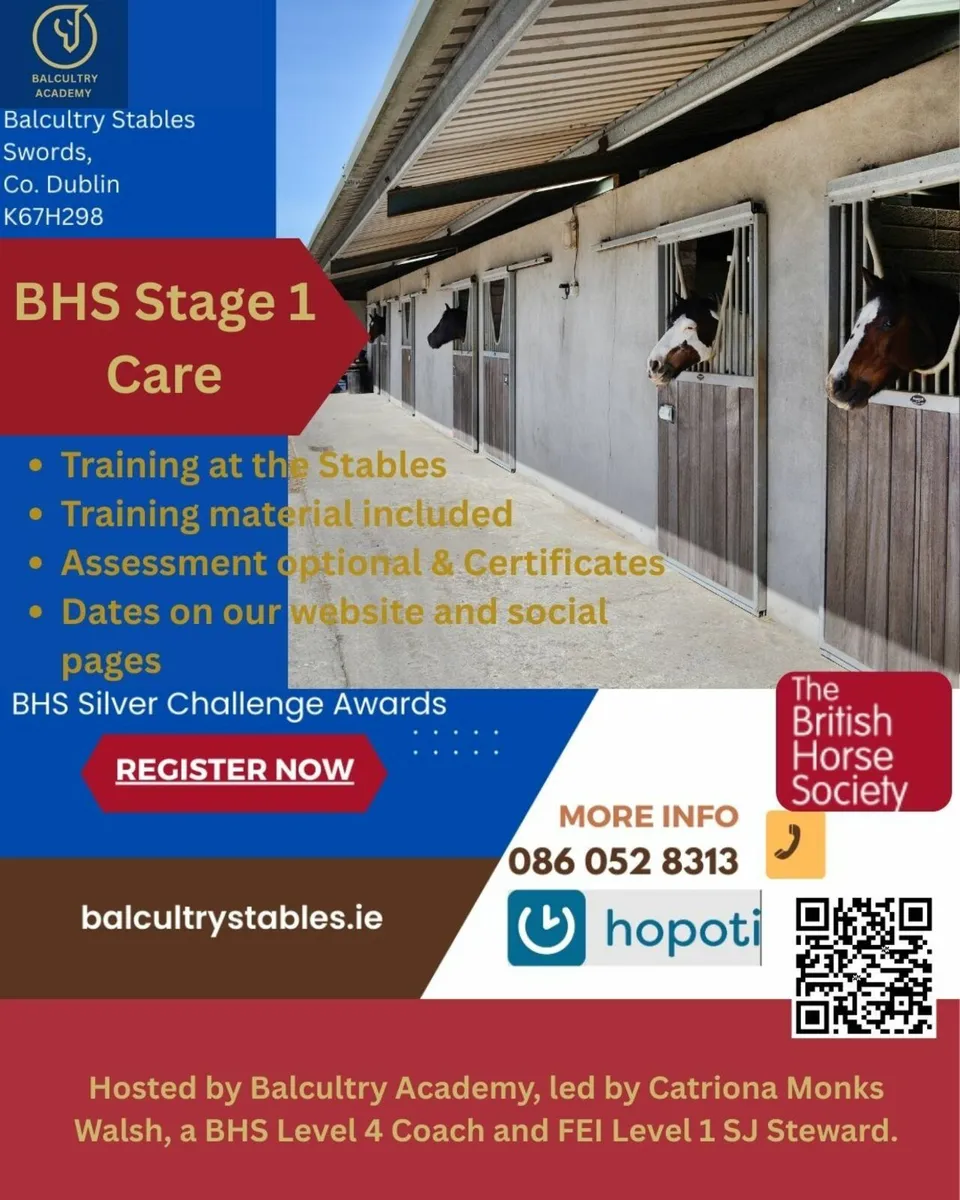 BHS Horse Care Course - Image 1