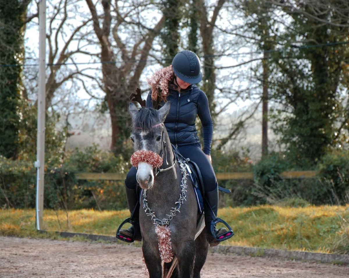 🌟Superstar Connie mare 🌟 - Image 3