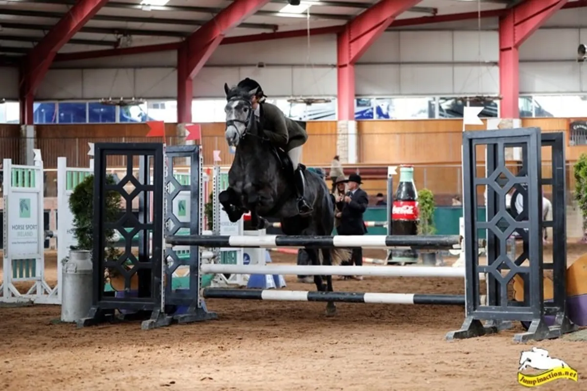 🌟Superstar Connie mare 🌟 - Image 4