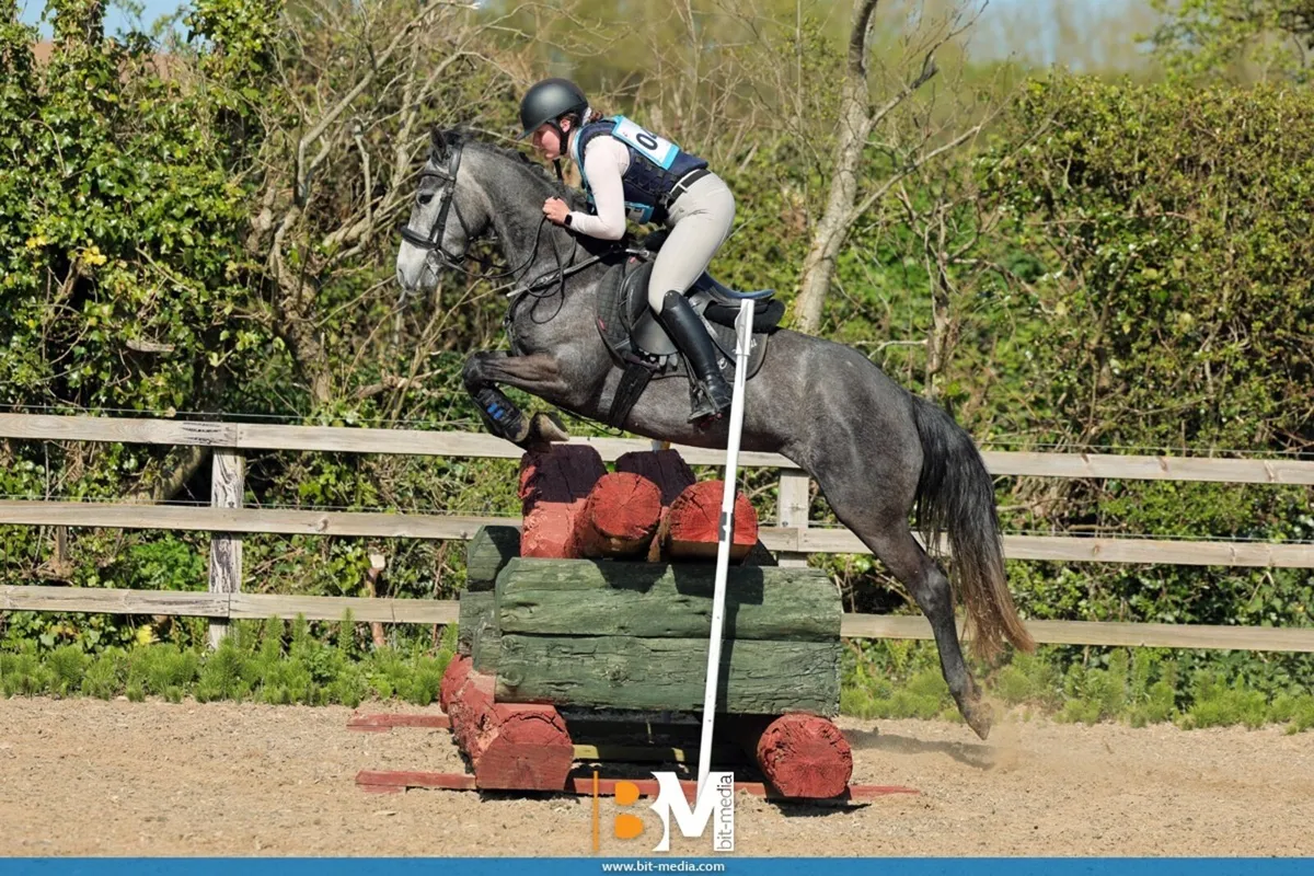 🌟Superstar Connie mare 🌟 - Image 1