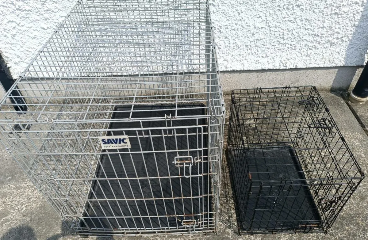 Pet Crates - Image 2