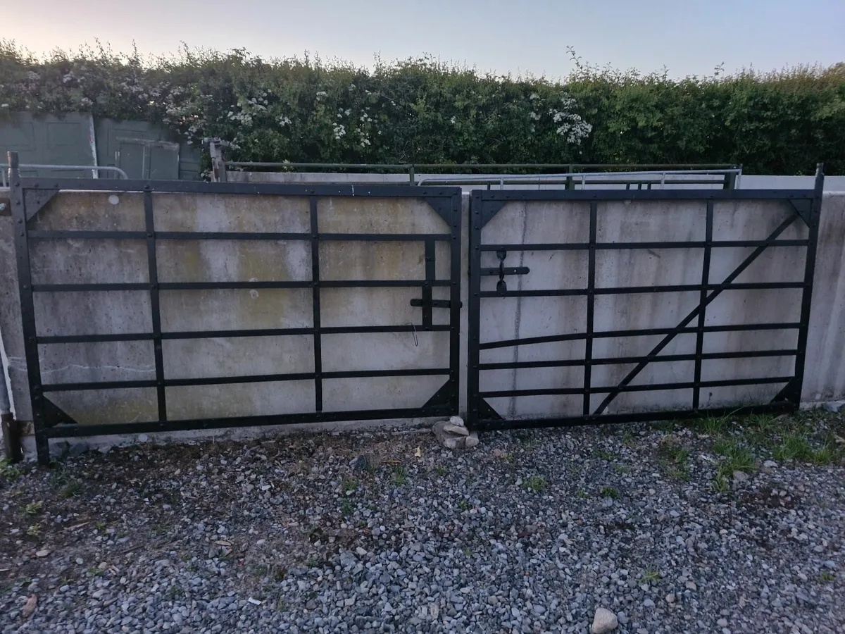 Forged gates - Image 2