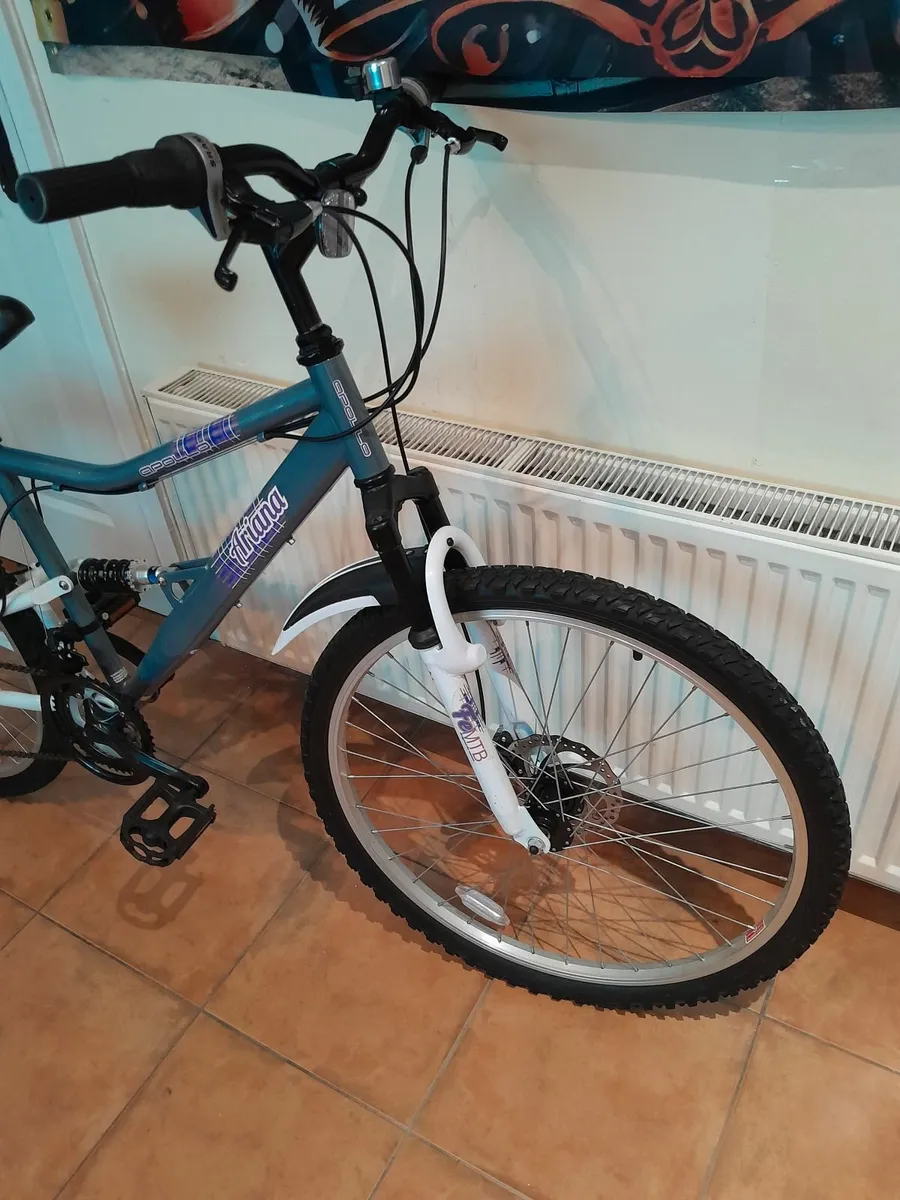 Bicycle - Image 2