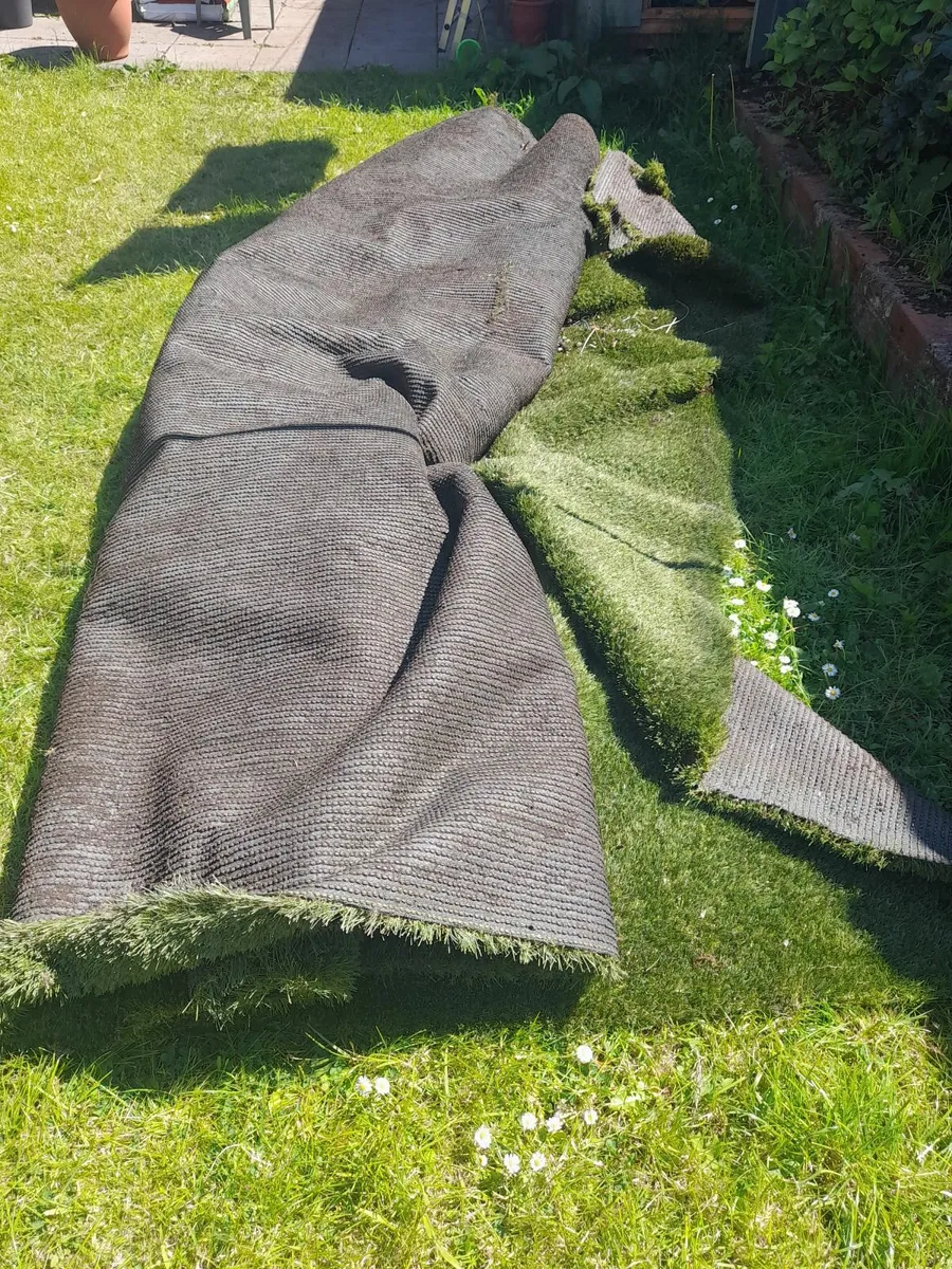 Artificial grass  FREE