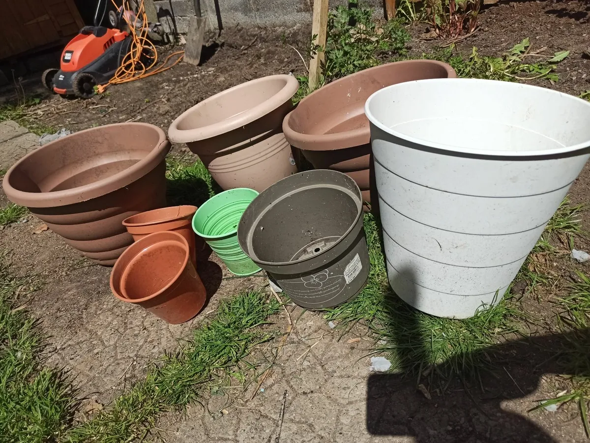 Flower pots free delivery - Image 1