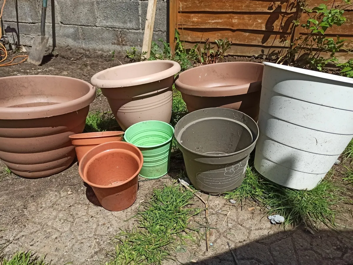 Flower pots free delivery - Image 2