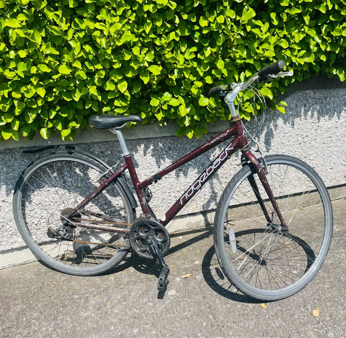 Ladies bicycle for sale