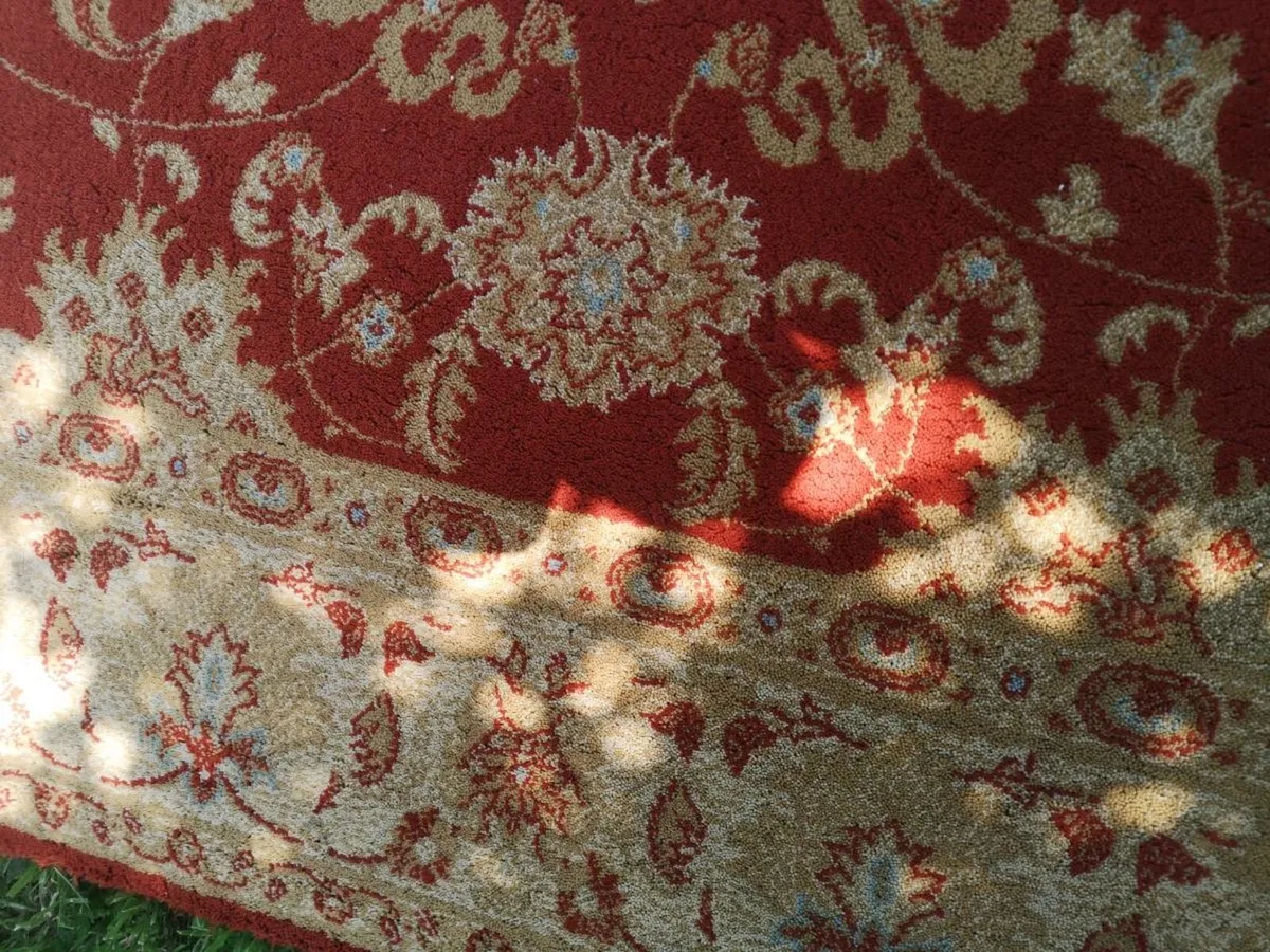 6' x 4' Agra Royal Wool Blend Rug - Image 3