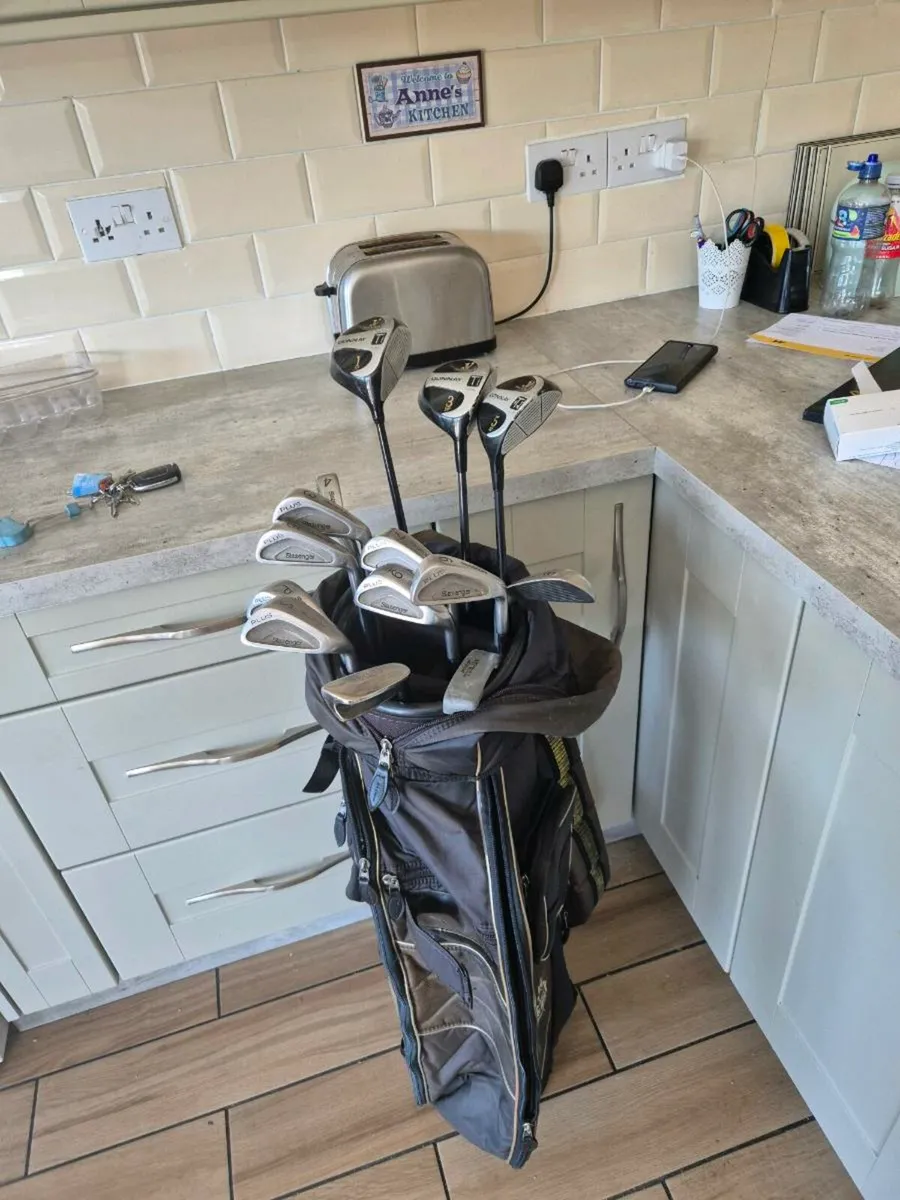Cheap Golf Set - Image 1