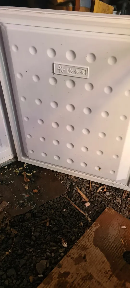 Large  Fridge Freezer - Image 3