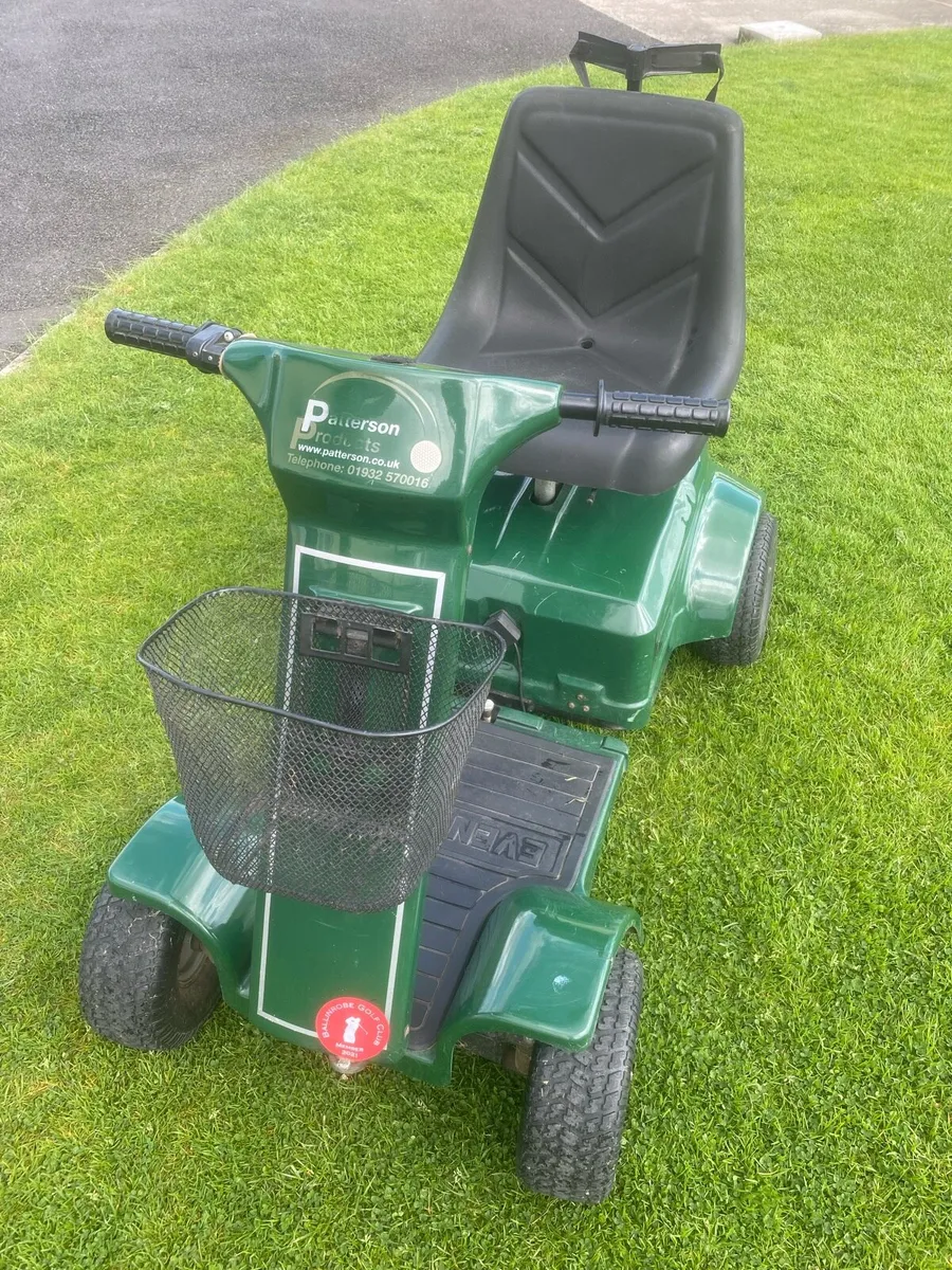 Gold Buggy “Eventer 4” - Image 2