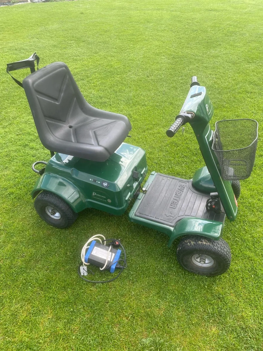Gold Buggy “Eventer 4” - Image 3