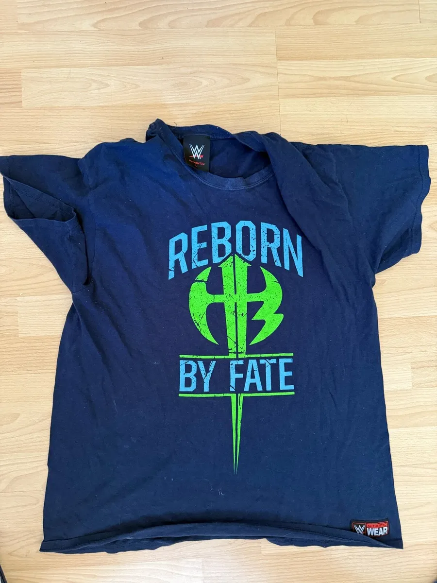 Wwe Mens hardy boys Jeff & Matt hardy L t shirt - Image 1