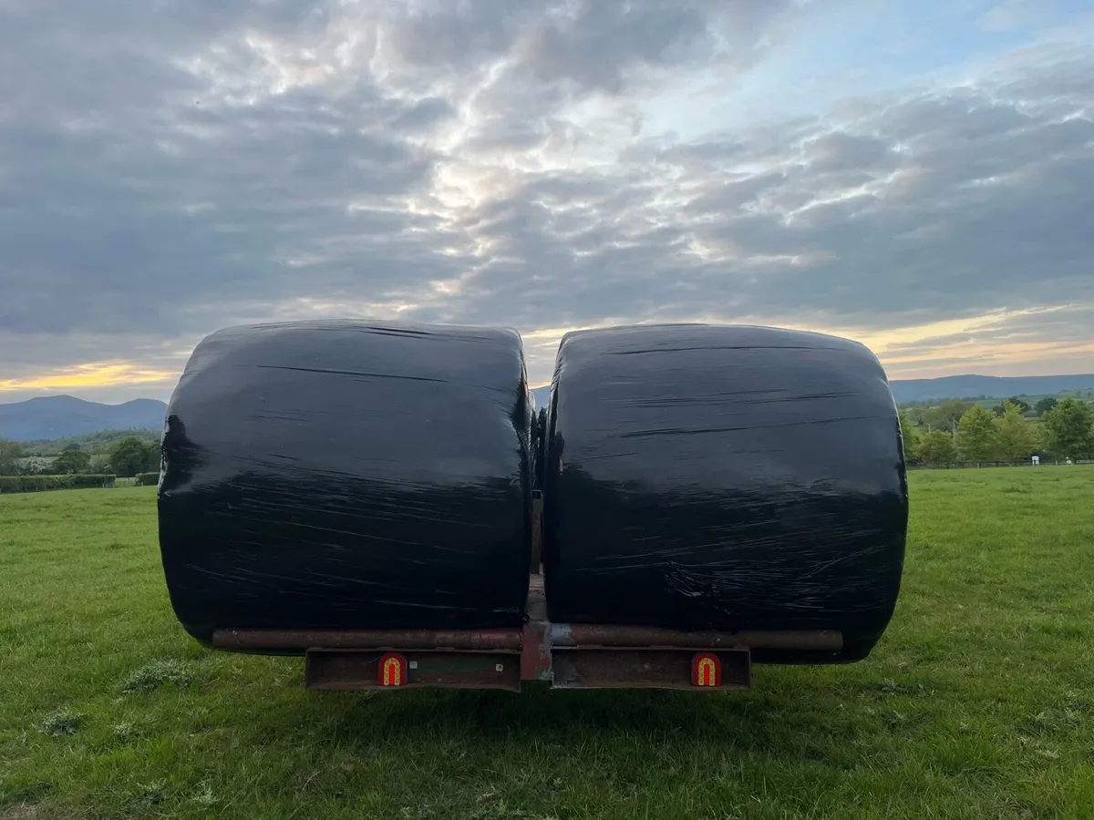 6 Bale trailer - Image 2