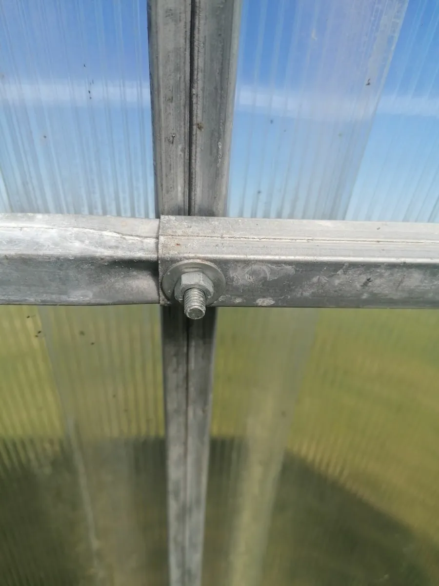 Polytunnel - Image 3