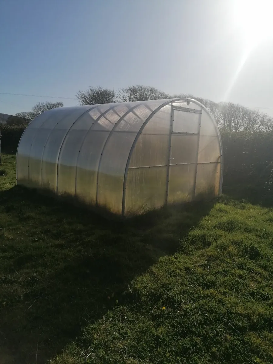 Polytunnel - Image 1