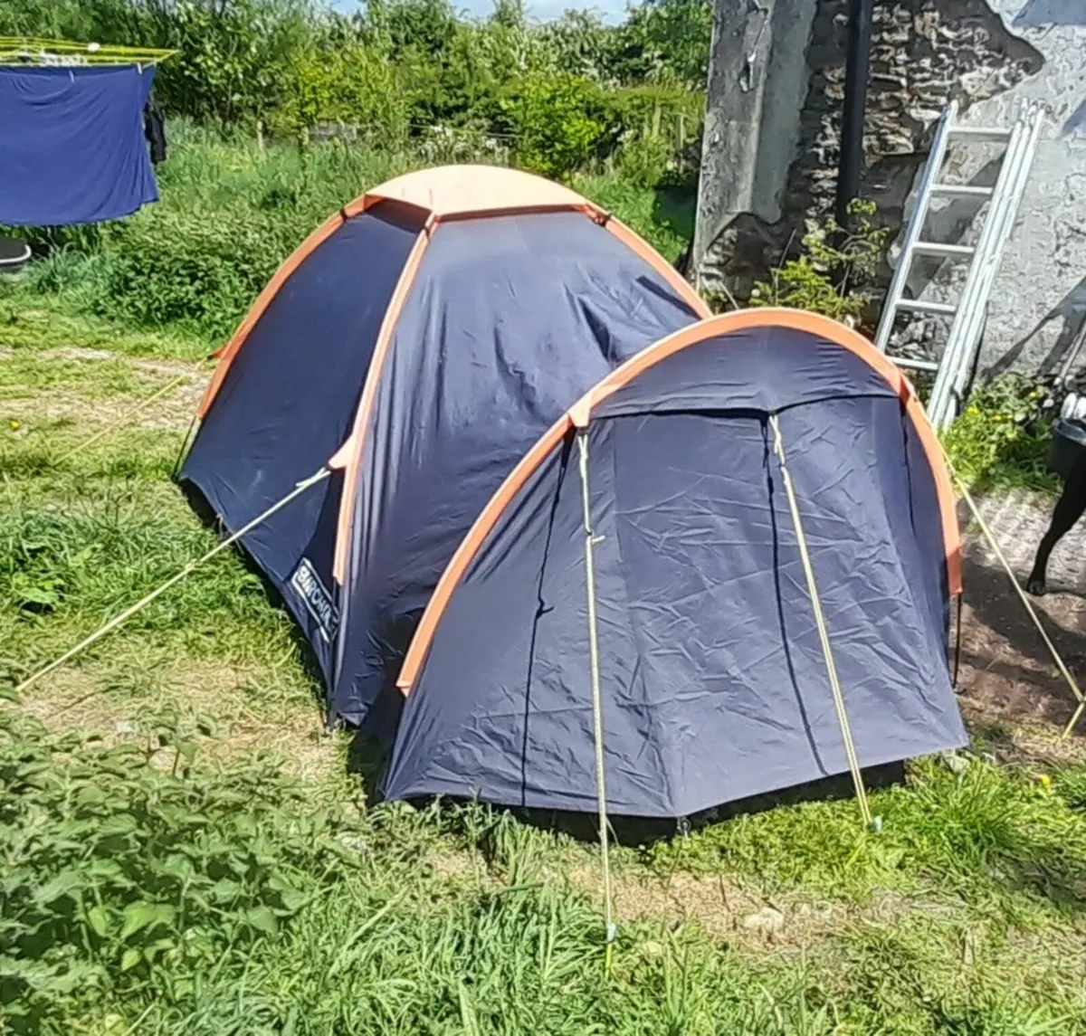 FREE!! Two Person Tent, North Cork - Image 1