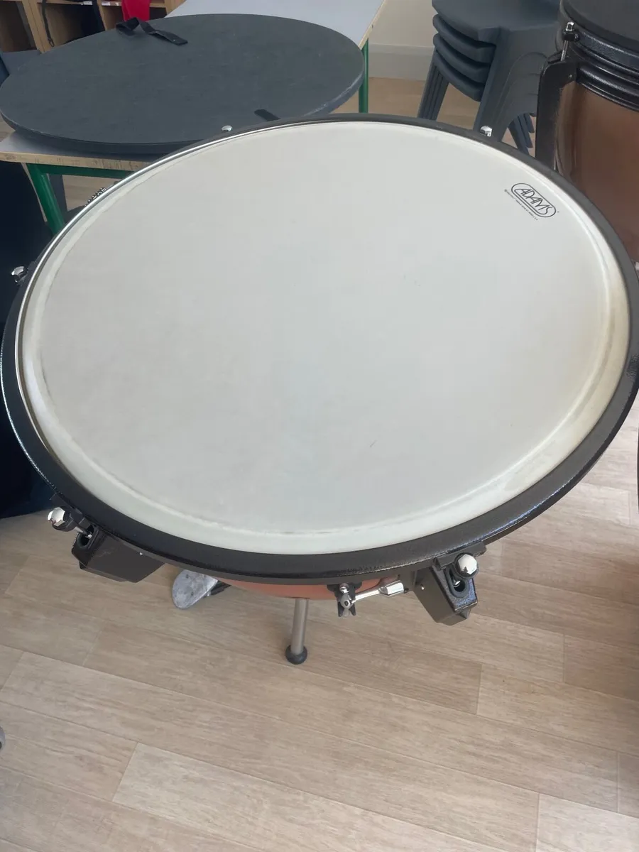 Adam’s timpani drum - Image 4